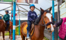Equinoterapia