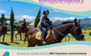 Equinoterapia