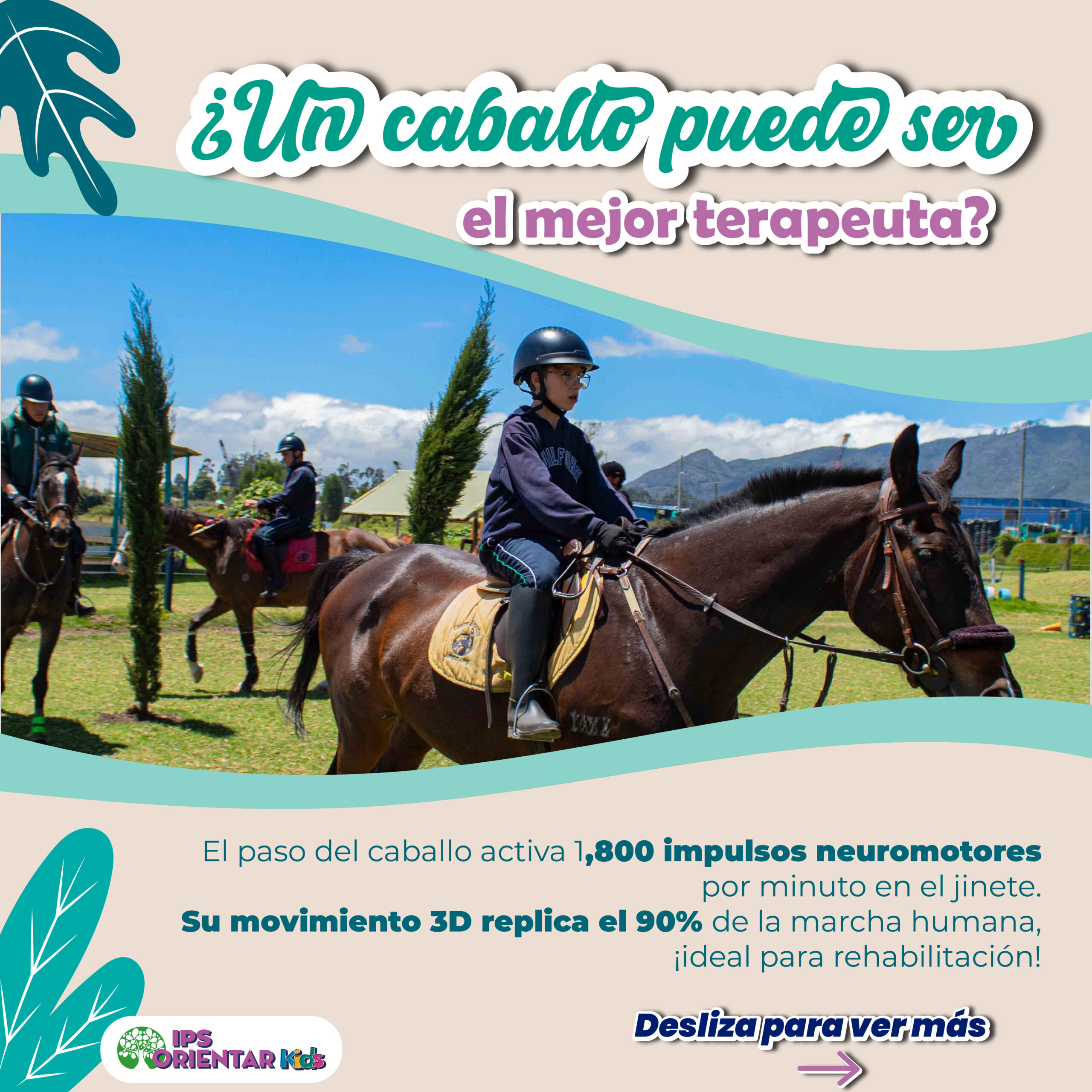 Equinoterapia